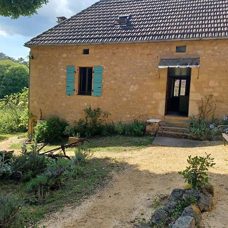 Gites Le Clos De Veyrignac Esterno foto